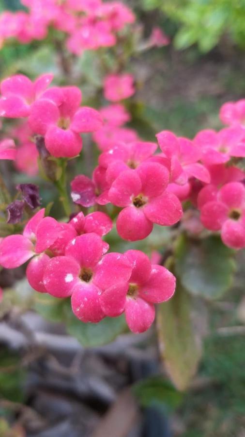 טפוזטלן Casa Amor מראה חיצוני תמונה